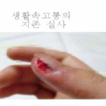 (1탄) 사진有 ☆★★생활속 고통★★☆