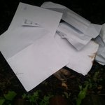 <b>로드킬</b>. 어떻게 생각하세요?