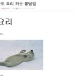 요리하는 <b>물범</b>에게.