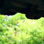 [알뜰여행] 즐거운 직장 생활 – tip <b>of</b> tip