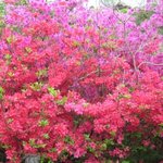 석화촌과 수정돌판<b>오리</b> 다녀왔어요^^