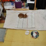 (사진有) 길냥이 제발 살수있기를..ㅠㅠ(후기)