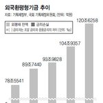 <b>환율</b> 지키느라 5조원 날렸다