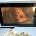 여자친구 생일 선물 및 이벤트!!! - 사랑의 <b>알약</b> 메세지 제작기