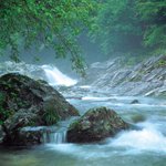 여름에 더위를 극~~ 뽁! 하는 방법 ㅋㅋ