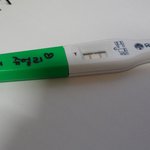 혼전 임신을 했습니다.