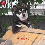 세계적인 뉴에이지 피아니스트~ 