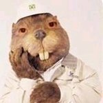 그림,사진有)내친구비버는4차원☎▽☎ 2탄!