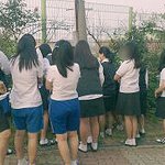 ★☆★☆★☆(우리학교)有 개구리 반찬 급식. 문제는 그것만이 아닙니다★☆★☆