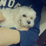 ★★여러분께 행복을 보여드림ㅇㅇ