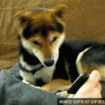 [아이유 <b>iu</b>] 이리봐도 저리봐도 귀여운 소림탁구 아이유