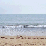 해운대 <b>바닷가</b>