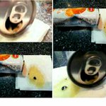 곰팡이 음료수, 부패한 롯데 칠성 음료 회사의 <b>태도</b>