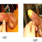 아는 여동생이 <b>고래</b>잡는게 뭐냐고 물었다.....