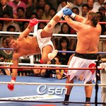 최강의파이터에대해서...꼭 봐주시고 답변해주세요