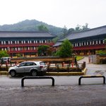 <사진有> 미국친구들과 한달동안 한국여행 4