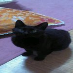 꿈속에 누가 따라오라 해도 따라가지마세요...