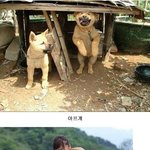 ●개시리즈●