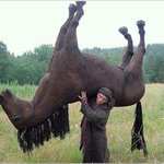 <b>제</b><b>말</b>좀...급해여..
