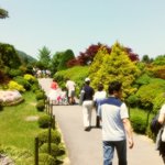 아침고요수목원에 룰루랄라~~