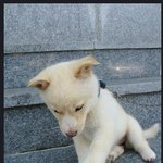 <b>해삼</b>