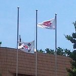 (사진)<b>현충일</b> 관공서의 실수를 바로 잡고 싶은 한 사람