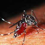 ★안녕. 여자분들 공감★