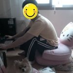 사람처럼 앉아있는 <b>호야</b>^^