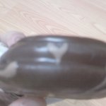 음 이건 무슨모양일까나??