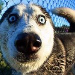 여름인데.. 다이어트가 안됩니다... !!! (<b>HOT</b>!!!)