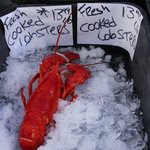 183cm21男의 요리학교에서 마이클미나 레스토랑까지 1탄