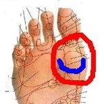 힐 고수님들~~~~~~~~ ㅜㅜ 아놔이ㅏ럼니ㅏ러