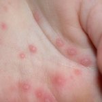 하려고 바로원서비스 알아봤더니 제가 가입한 보험<b>사</b>는 <b>안</b>되는거있죠?