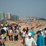 [문화<b>칼럼</b>] 창조경영 리더십을 기다리며