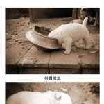 <b>강</b>아<b>쥐</b>의 하루