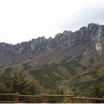 <속초 맛집을 찾아, 속초 바다여행 맛여행 떠났답니다>