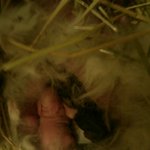 우리 아가들 하늘나라에서 행복하니?