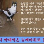 06월09일@서울 송파 광진 강동~다 모여욧@ 하남,<b>성남</b>,구리,강남도!