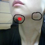 요요 없는 다이어트 방법! 규칙을 정하세요 2탄