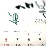 매일매일 예뻐지는 요일별 피부관리법