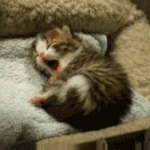 오싹했던 학창시절의 이야기20