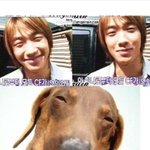 정진운 = 비 = 강아지 삼<b>쌍둥이</b> 납시오 ㅋㅋㅋㅋ