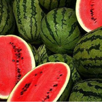 ★★★사진有) 여름에 생각나는 음식들 <b>best</b> 10★★★