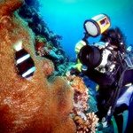   -  사진도,  동영상도 <b>OK</b> !! ,  3m 방수기능까지 문제없다...