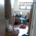 ★☆(사진有)기숙사 제 방이 초파리들의 부화장으로 변했어요ㅠ살려주세요ㅠ☆★