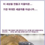 안구정화........ 가장 <b>위대</b>한 세글자