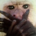 ★★오빠와같이ya동을보게되었슴다★★