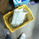 (사진有) <b>어미</b>와 새끼 고양이 4마리 어쩔까요? ㅠ_ㅠ