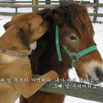 <b>아아</b> 시험