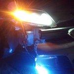 우리 목숨과 맞바꿔준 멧돼지..100%실화 (사진有)